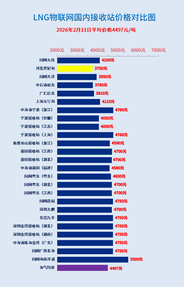 1770779875558001578.jpg 2.jpg